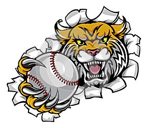 Wildcat Holding Baseball Ball Breaking Background