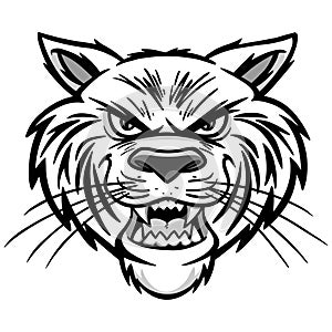 Wildcat Illustration