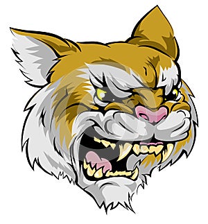 Wildcat mascot character photo