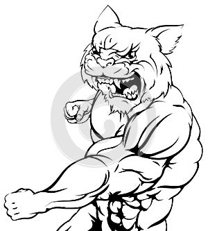 Wildcat mascot fighting photo