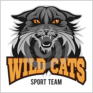 Wildcat mascot - sport team.