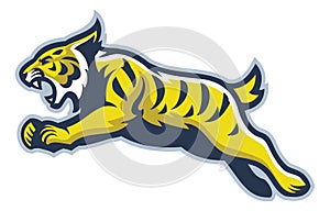 Wildcat mascot