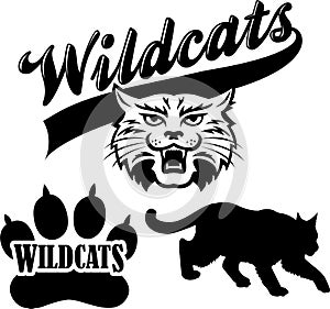 Wildcat Team Mascot/eps photo