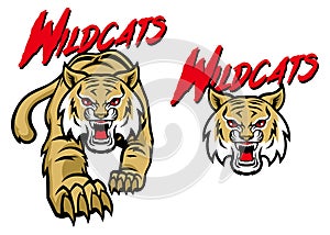 Wildcats mascot photo