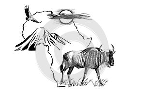 Wildebeest on Africa map background with Kilimanjaro mountain, vulture and sun