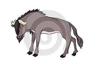 Wildebeest illustration vector.Animal vector wildbeast