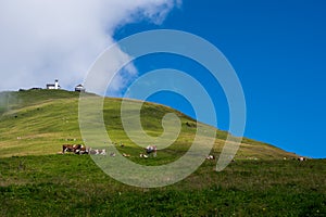 Wilder Kaiser in the Alps in Tirol, Austria