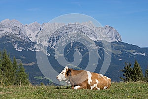 Wilder Kaiser, Tyrol, Austria