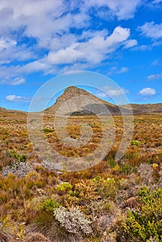 The wilderness of Cape Point National Park. Copy space with the scenery of Lions Head at Table Mountain National Park in