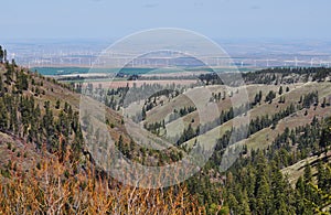 Wilderness with Farmland and Windmills Beyond