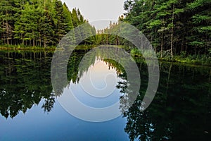 Wilderness Forest River Reflections photo