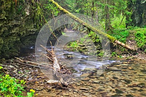 Wilderness in Hybicka tiesnava gorge during spring