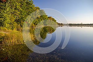 Wilderness Lake Reflections