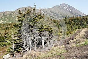 Wilderness Landscape photo