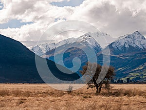 Wilderness with mountains and trees