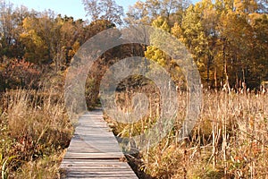 Wilderness ramp in marsh in autumn