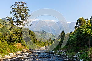 The wilderness of Rwenzori Mountains
