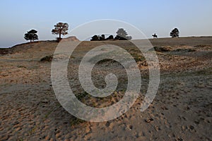 Wilderness, sand dunes, wrangler