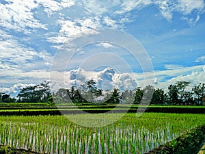 Wilderness serenity,Sky painter:clouds and light