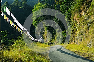 INTO THE WILDERNESS OF SIKKIM