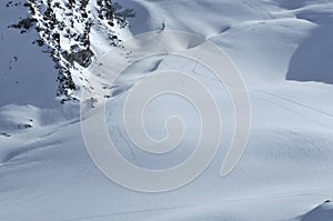 Wilderness ski tracks