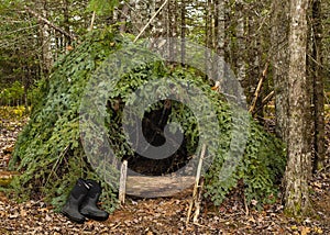 Wilderness Survival Shelter
