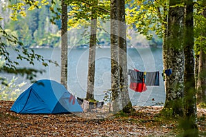 Wilderness Tent Camping