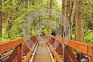 Wilderness Trail Bridge