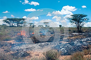 Wildfire in African savanna