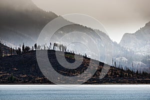 Wildfire aftermath Jackson Lake Grand Teton