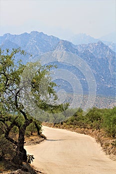 Wildfire, Bighorn, Santa Catalina Mountains, Coronado National Forest, Tucson, Arizona, United States