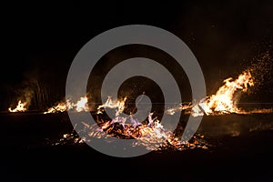 Wildfire burning on grass and wood at night. dangerous place on fire. close-up fire shot.