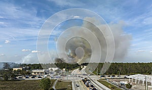 Wildfire burning severely during dry winter season in North Port city, Florida. Thick smoke rising up over suburb homes