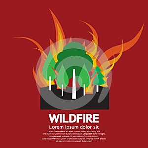 Wildfire Disaster