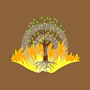 Wildfire disaster with burning forest tree. Vector illustration.