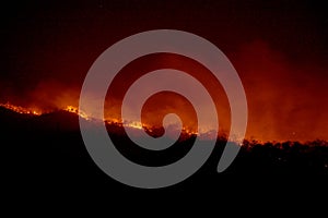 Wildfire disaster - fire burning mountain in night time