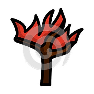 Wildfire Icon