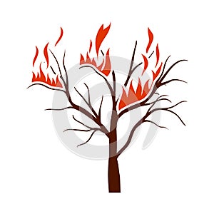 Wildfire Icon