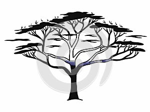 Wildfire-Inspired Burning Tree Silhouette Vector Design