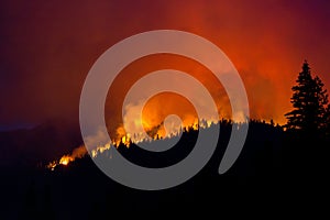 Wildfire silhouette