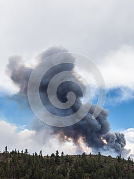 Wildfire Smoke Plume