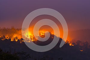 Wildfire in Ubon Ratchathani, Thailand