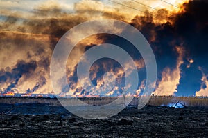 Wildfires. Burning estuary.