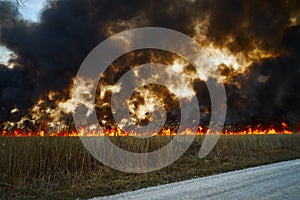 Wildfires. Burning estuary. Fire in the steppe