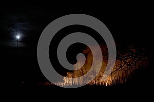 Wildfires. Burning estuary.