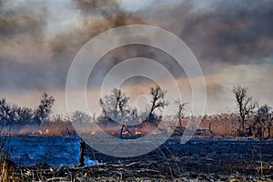 Wildfires. Burning estuary.