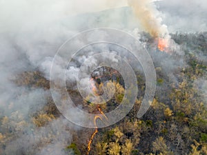 Wildfires release carbon dioxide emissions and other greenhouse gases (GHG) that contribute to climate change and global photo