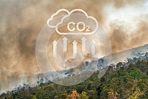 Wildfires release CO2 emissions and other greenhouse gases GHG that contribute to climate change photo