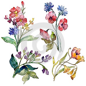 Wildflower bouquet floral botanical flowers. Watercolor background set. Isolated wildflowers illustration element.