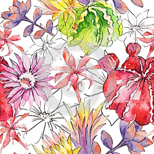 Wildflower cactus flower pattern in a watercolor style.